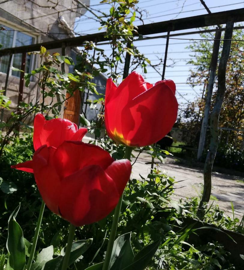 Udabno Naili Hotel Buitenkant foto