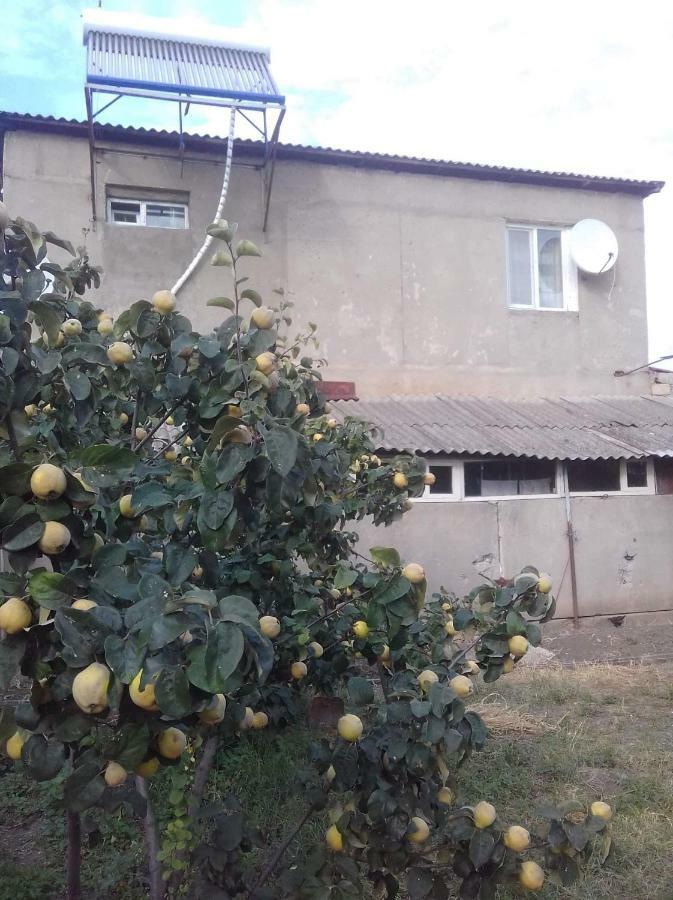 Udabno Naili Hotel Buitenkant foto